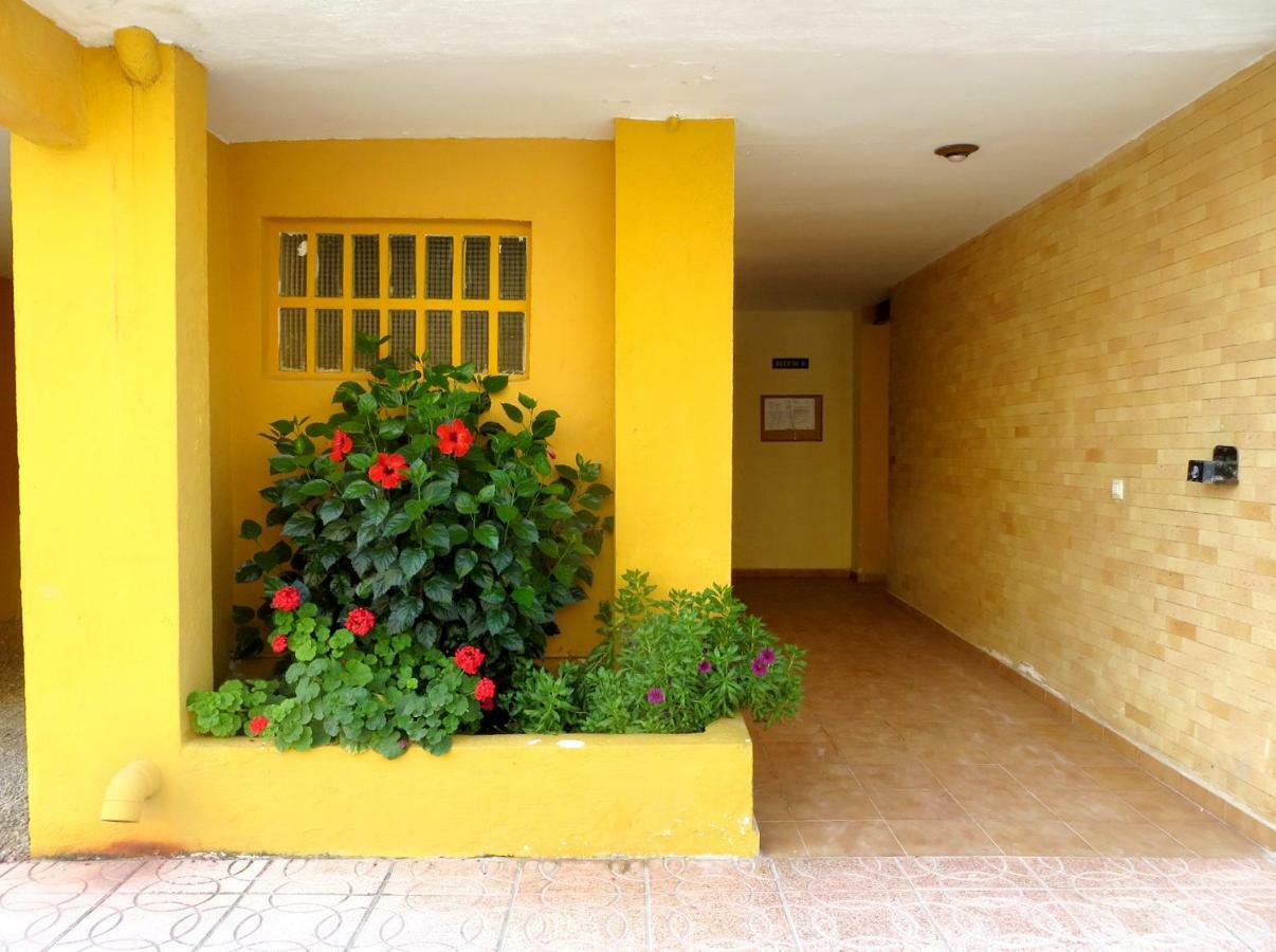 2 Bedroom L'ancora In The Arenal Apartment *